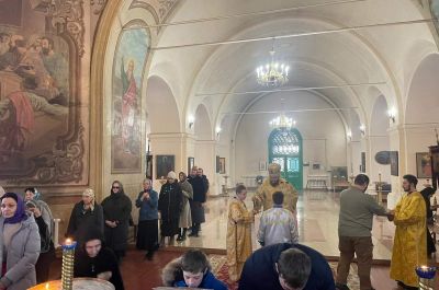 Подробнее...