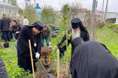 Подробнее...