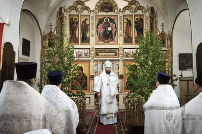 Подробнее...