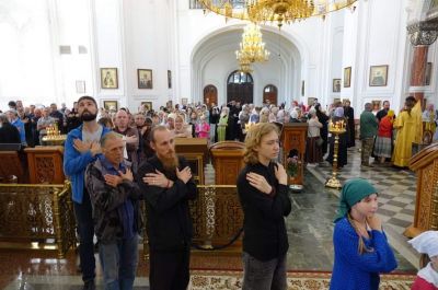 Подробнее...